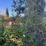 Seville - Piscine Chauffee - Mas Saint-louis 게스트하우스
