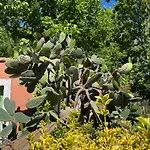 Seville - Piscine Chauffee - Mas Saint-louis 3* 에그모르트
