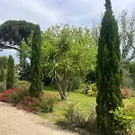 게스트하우스 Seville - Piscine Chauffee - Mas Saint-louis 에그모르트