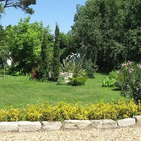 Guest house Seville - Piscine Chauffee - Mas Saint-louis 3*