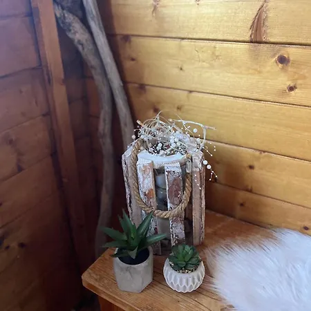 Seville - Piscine Chauffee - Mas Saint-louis 3*