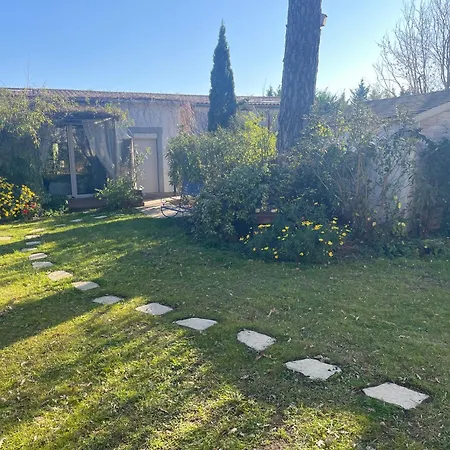 Seville - Piscine Chauffee - Mas Saint-louis Aigues-Mortes